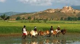 Timeline: Indian Timeline