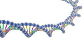 Timeline: History of DNA