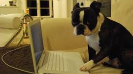 Timeline: Technology