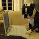 Boston terrier computer
