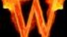 Timeline: (SS) Witch & Wizard, James Patterson, Fiction, 314