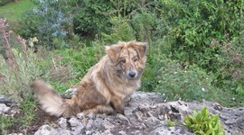 Timeline: ALGO DE MI VIDA