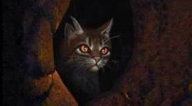 Timeline: Tessa's Timeline