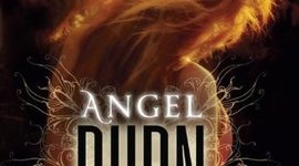 Timeline: (CMH) Angel Burn, l.a. Weatherly, fiction, pages: 449