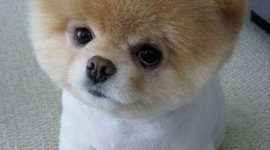 Timeline: Ancient Greece