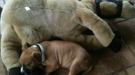 Timeline: OLIVIA & LAUREN