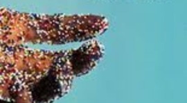 Timeline: A Million Little Pieces