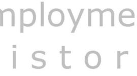 Timeline: Employment History