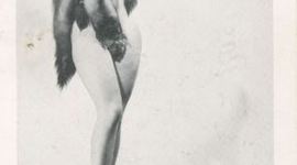 Timeline: The Ann Perri Story