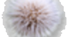 Timeline: Environmental Law Timeline