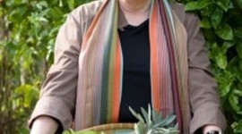 Timeline: Stephine Alexander