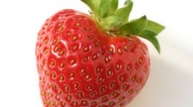 Timeline: World History Timeline