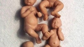 Timeline: African Clay Babies