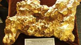 Timeline: The Australian Gold Rush