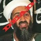 Osama