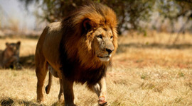 Timeline: india`s time line