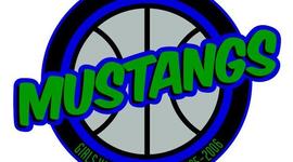 Timeline: Life Goals (Megan Smith)