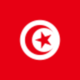 125px flag of tunisia.svg