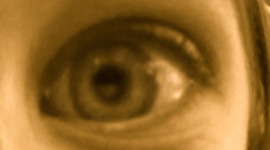 Timeline: History of the Printing Press