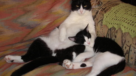 Timeline: História da Computação e a Evolução dos Games (Rubens, Franciele)