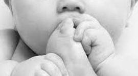 Timeline: Pregnancy and Prenatal  Development