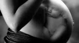 Timeline:  prenatal and pregnancy development