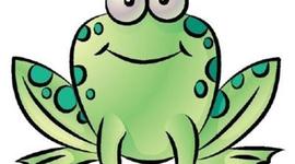 Timeline: The Life Cycle of a Frog