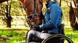 Timeline: Grace Bowman  Equestrian