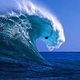 Wave