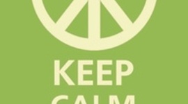 Timeline: Design Cycle: PLAN