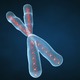 Chromosomecounticon