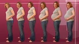 Timeline: Pregnancy and Prenatal development