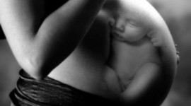 Timeline: Prenatal Development