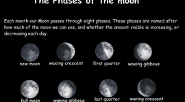 Timeline: Moon Phases