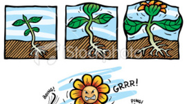 Timeline: The Plant Life Cycle!