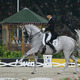 Dressage jj