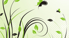 Timeline: Medio Amibiente