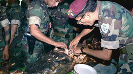 Timeline: Conflicto Armado