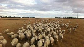 Timeline: Kathryn's journey