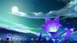 Timeline: Skye Billiet personal timeline :)