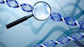 Timeline: Important Moments in Biology