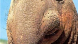 Timeline: Technology Timeline