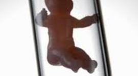 Timeline: des bébés éprouvettes pour des couples stériles