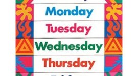 Timeline: Daily Routine