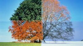 Timeline: The Weather of the Seasons