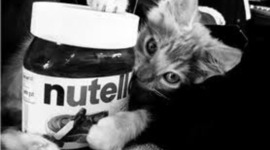 Timeline: Go to college.