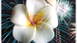 Timeline: Important inventions from the 20th century