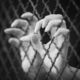 Human trafficking