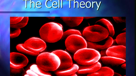 Timeline: The Cell Theory