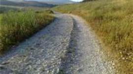 Timeline: History In The Making.!